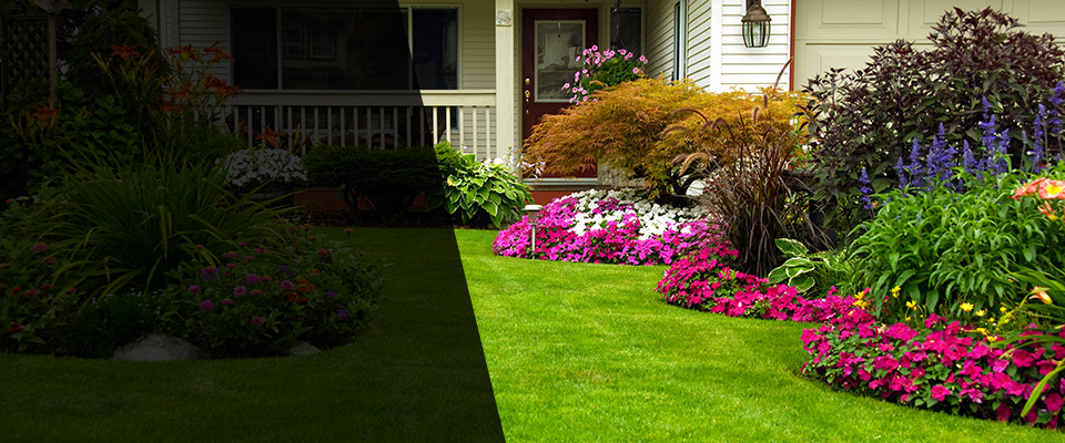 Naples Landscapers