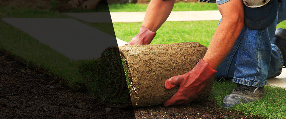 Naples Landscapers